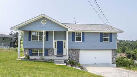 8208 Thrush Hollow Lane, Chattanooga, TN 37421