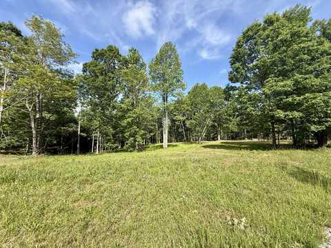 Lot 5 Hobbstown Road, Dunlap, TN 37327