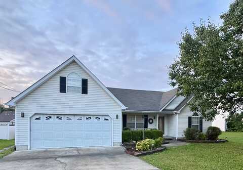 191 Bluegrass Circle, Rossville, GA 30741