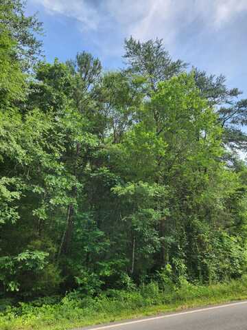 0 River Road, Decatur, TN 37322