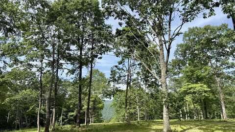 Lot 4 Hobbstown Road, Dunlap, TN 37327