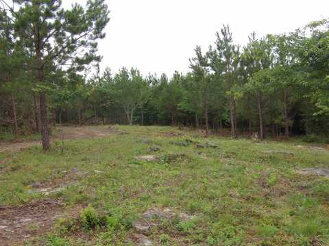 03 Summer City Road, Evensville, TN 37332