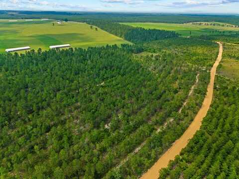 12 Ac LIBERTY ROAD, MAUK, GA 31058