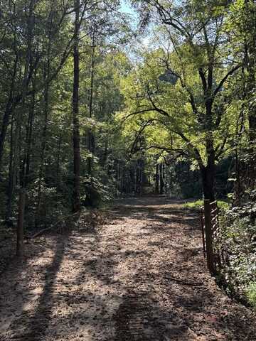 BETHEL CHURCH ROAD, LUTHERSVILLE, GA 30251