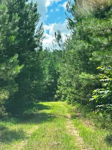 2030 OLD CHIPLEY ROAD, PINE MOUNTAIN, GA 31822