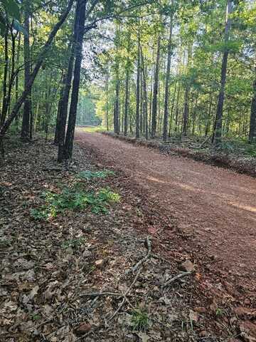 Blk 33 Lot 06 JUNIPER WAY, WAVERLY HALL, GA 31831
