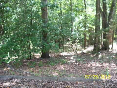 HUMBER AVENUE, LUMPKIN, GA 31815