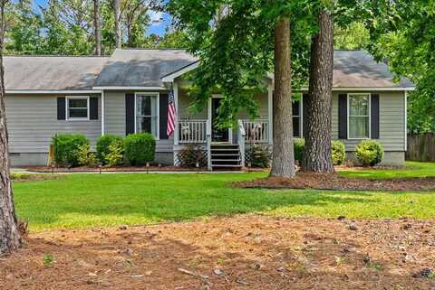 50 BRIARWOOD DRIVE, ELLAVILLE, GA 31806