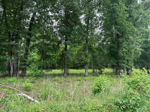 MACEDONIA CHURCH ROAD, HAMILTON, GA 31811
