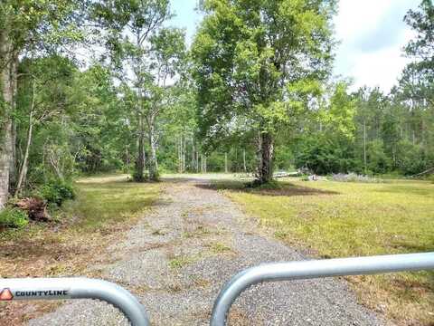 1760 BERRYBUSH STREET, BUNNELL, FL 32110