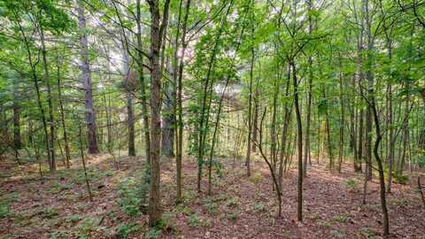 0 158TH AVENUE, WEST OLIVE, MI 49460