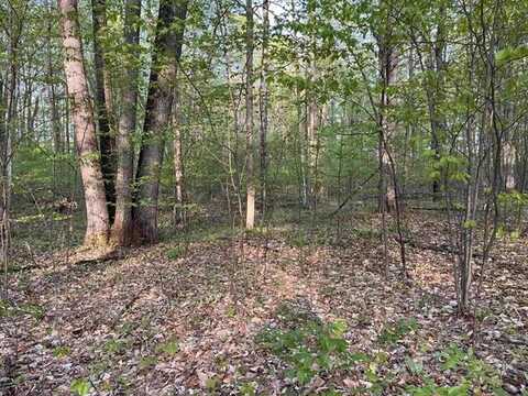 000 PAR-KING DRIVE, CUSTER TWP, MI 49615