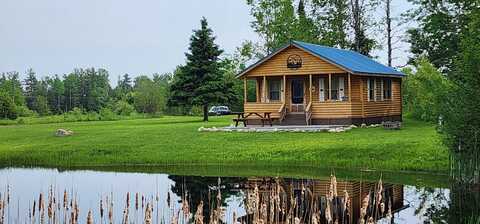 795 E SWEDE RD, CEDARVILLE, MI 49719