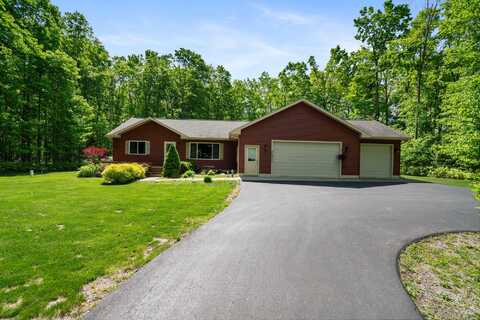 11193 HASSLER WOODS TRAIL, ALANSON, MI 49706