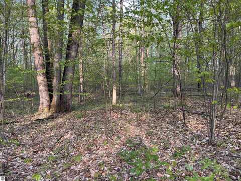000 PAR-KING DRIVE, BELLAIRE, MI 49615