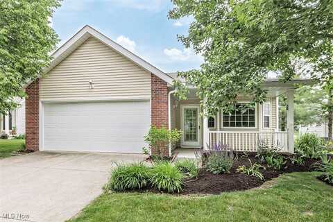 3840 DARTFORD LANE, MEDINA, OH 44256