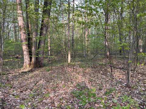 000 PAR-KING DRIVE, BELLAIRE, MI 49615