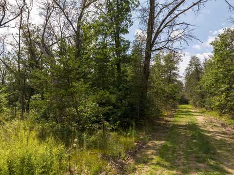 LOTS 8-14 ST LOUIS, IDLEWILD, MI 49642