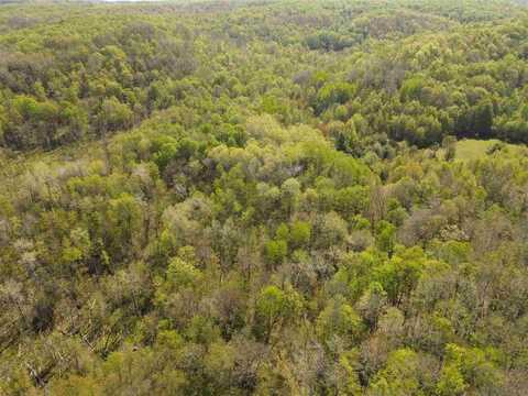 TBD MT. BLISS, EAST JORDAN, MI 49727