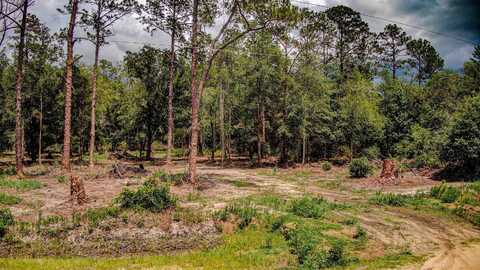 10150 DELGADO AVE, HASTINGS, FL 32145