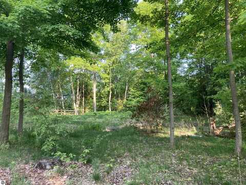 15615 UPPER BIRCH DRIVE, TRAVERSE CITY, MI 49686