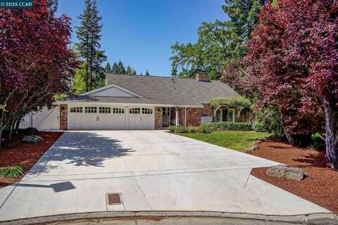 24 Ray Ct, Alamo, CA 94507