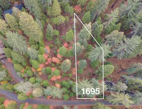 1695 Manzanita Drive, Arnold, CA 95223