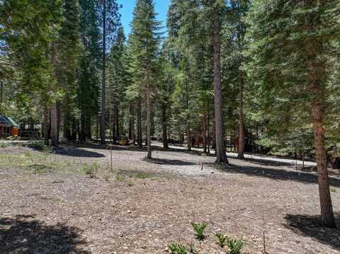 3380 El Camino Boot Strap, Dorrington, CA 95223