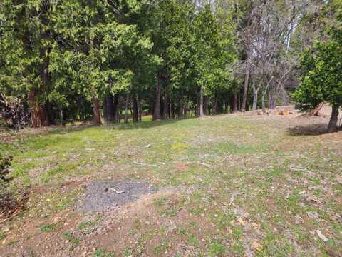 1492 Sandalwood Drive, Murphys, CA 95247