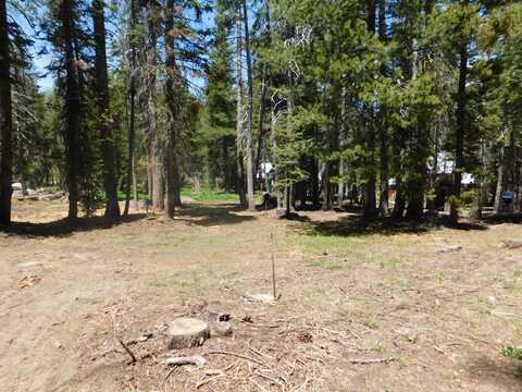 282 Little Buck, Tamarack, CA 95223