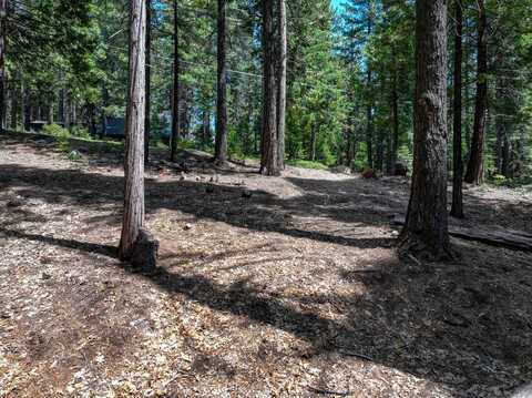 4741 Meko Drive, Camp Connell, CA 95223