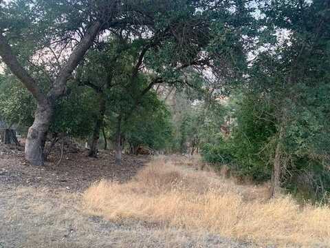 4817 Pueblo Trail, Copperopolis, CA 95228