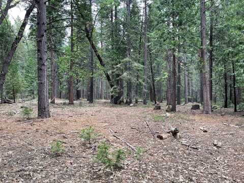 5 Shoshone Drive, Camp Connell, CA 95223