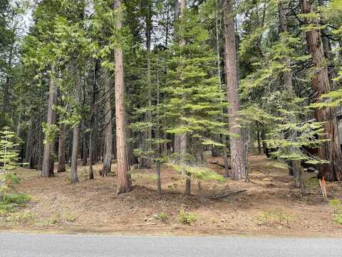6 Shoshone Drive, Camp Connell, CA 95223