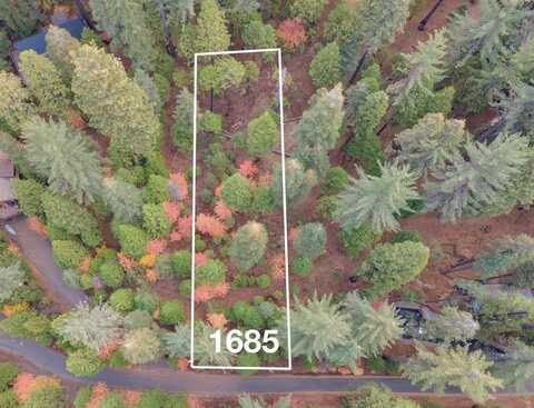1685 Manzanita Drive, Arnold, CA 95223