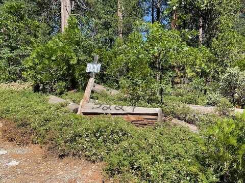 3229 Ponderosa Road, Arnold, CA 95223