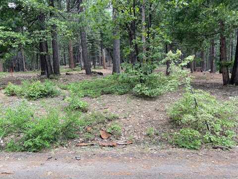 Sierra Parkway, Camp Connell, CA 95223