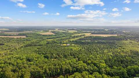 TBD Lee Ln., Bennetsville, SC 29512