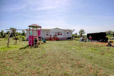 176 Old Flowers Rd., Johnsonville, SC 29555
