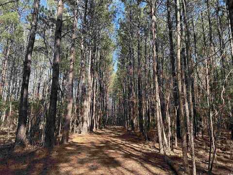 TBD Union Church Rd., Salters, SC 29590