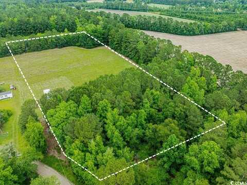 6.5 Acres Christine Pl., Hemingway, SC 29554