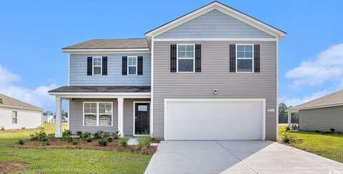 555 Strawberry Field Way, Galivants Ferry, SC 29544