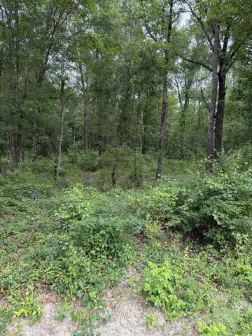 TBD Lot 20 Duck Island Rd, Gresham, SC 29546