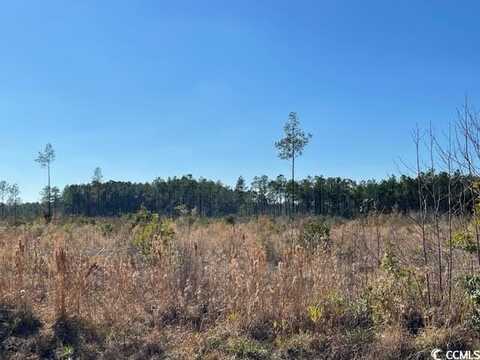 1279 Cheyenne Rd., Conway, SC 29526