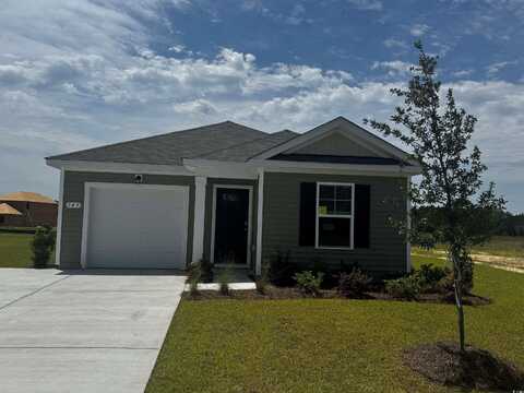 597 Strawberry Field Way, Galivants Ferry, SC 29544