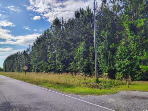 TBD Boggy Branch Rd., Nichols, SC 29581