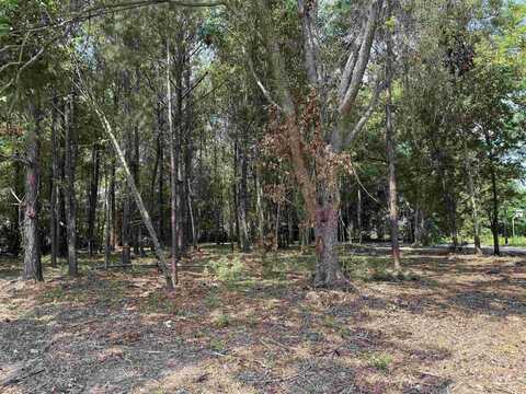 TBD S Rosemary Ave., Andrews, SC 29510