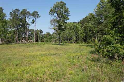TBD Samuels Ave, Salters, SC 29590