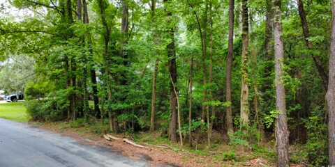 189 William Screven St., Georgetown, SC 29440