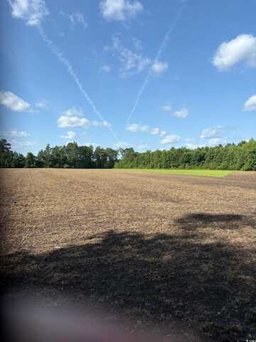 8745 Swamp Fox Hwy. E, Tabor City, NC 28463